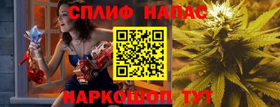 наркотики Кингисепп
